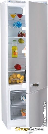 Холодильник-морозильник Atlant МХМ 1842-62