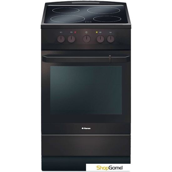 Кухонная плита Hansa FCCB54000