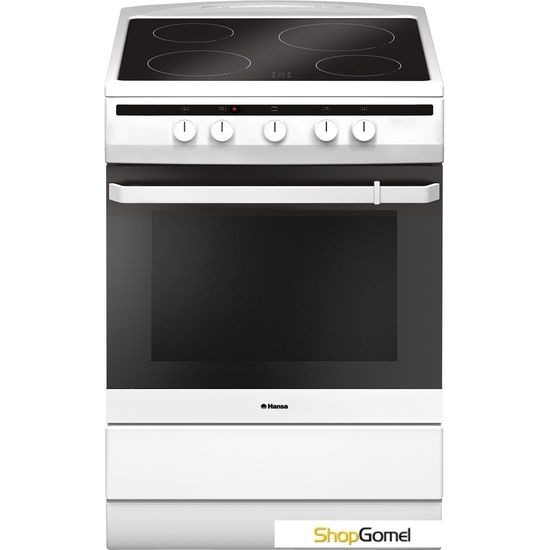 Кухонная плита Hansa FCCW63000