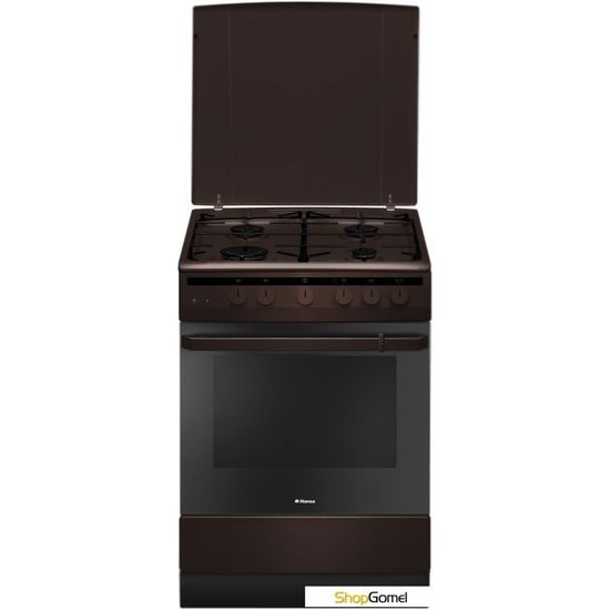 Кухонная плита Hansa FCGB61101