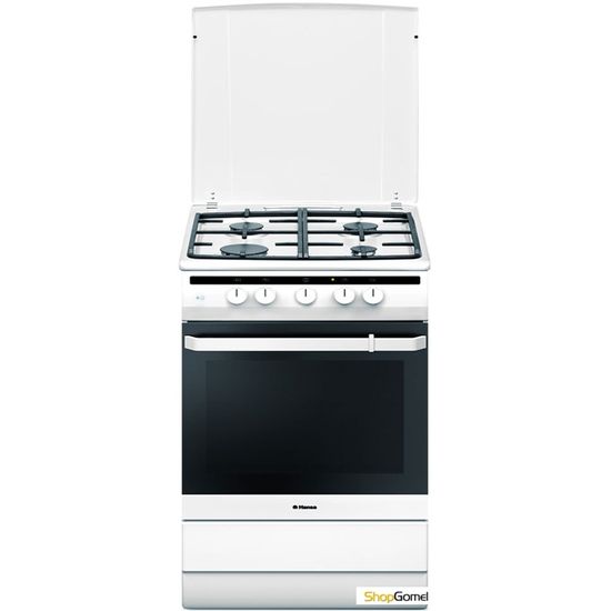 Кухонная плита Hansa FCGW62020